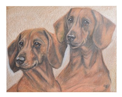 Lot 557 - Olga Miksche (Clark) (b.1942) - Pastel - Two Dachshunds