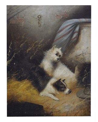 Lot 519 - Follower of George Armfield - Oil on canvas - Terriers resting