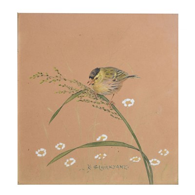 Lot 555 - Watercolour of perching bird