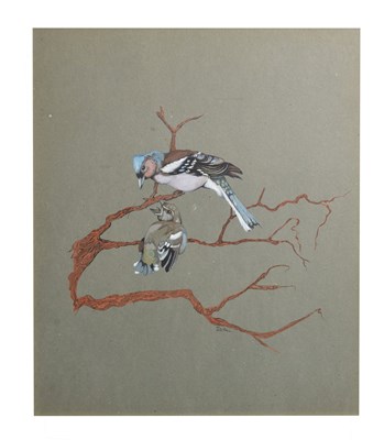 Lot 554 - J.D. Hall - Watercolour - Two birds resting on tree branches