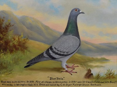 Lot 297 - Andrew Beer (1862-1954) - Racing pigeon portrait