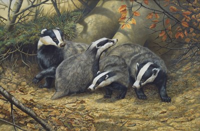 Lot 440 - Adrian Rigby (b.1962) - Watercolour - 'Badger Playtime'