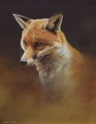 Lot 439 - Adrian Rigby (b.1962) - Gouache - 'Fox portrait'