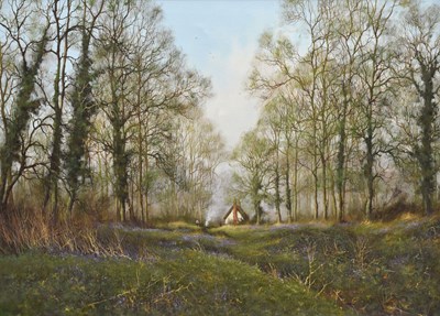 Lot 425 - James Wright (b.1935) - Oil on canvas - Bluebell woods