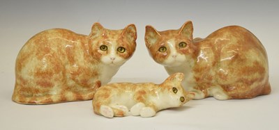 Lot 484 - Three Winstanley cats