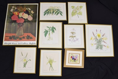 Lot 556 - Rene Ray, Countess of Midleton - Group of seven watercolour botanical studies