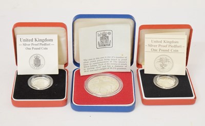 Lot 342 - Two Royal Mint silver proof Piedfort One Pound Coins, etc