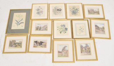 Lot 623 - Set of botanical prints after George Samuel Elgood