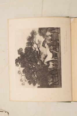 Lot 607 - Cook, Theodore Andrea - 'A History of the English Turf' - First edition, 1901