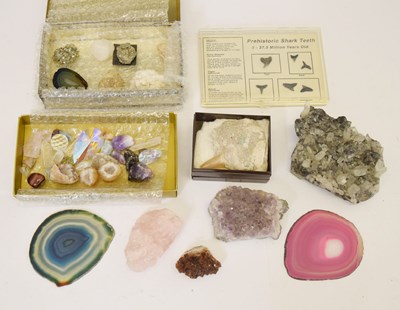 Lot 485 - Collection of specimens, fossils, prehistoric shark teeth etc