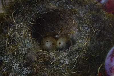 Lot 430 - Attributed to William H. Ward (fl.1850-1882) - Oil on canvas - Still life of fruit and birds nest