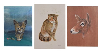 Lot 653 - David Blake (Bristol Savages) - Three gouache animal studies