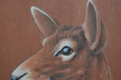 Lot 653 - David Blake (Bristol Savages) - Three gouache animal studies