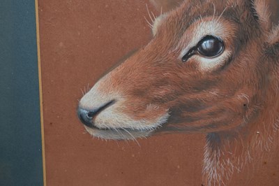 Lot 653 - David Blake (Bristol Savages) - Three gouache animal studies