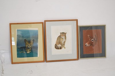Lot 653 - David Blake (Bristol Savages) - Three gouache animal studies