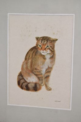 Lot 653 - David Blake (Bristol Savages) - Three gouache animal studies