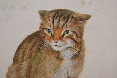 Lot 653 - David Blake (Bristol Savages) - Three gouache animal studies