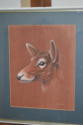 Lot 653 - David Blake (Bristol Savages) - Three gouache animal studies