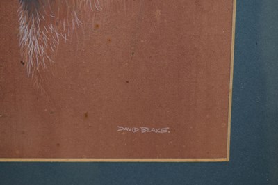 Lot 653 - David Blake (Bristol Savages) - Three gouache animal studies