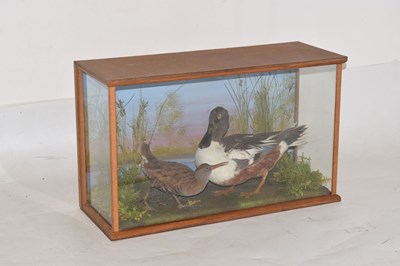 Lot 383 - Taxidermy - Preserved duck and wading bird by Mendip Taxidermy