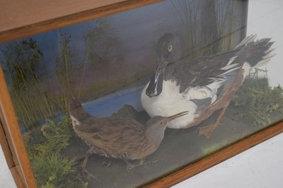 Lot 383 - Taxidermy - Preserved duck and wading bird by Mendip Taxidermy
