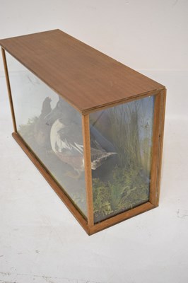 Lot 383 - Taxidermy - Preserved duck and wading bird by Mendip Taxidermy