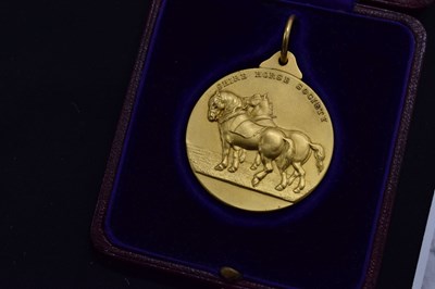 Lot 392 - William Albert Clark (British, 1880-1963) - 'Bury's King's Champion 32190'