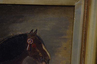 Lot 392 - William Albert Clark (British, 1880-1963) - 'Bury's King's Champion 32190'