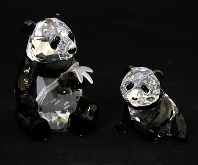 Lot 557 - Swarovski Crystal Collector's Society 'Endangered Wildlife' Pandas 2008