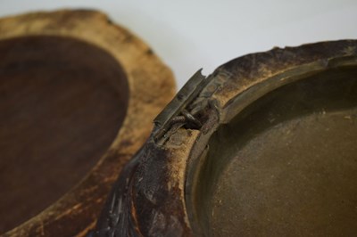 Lot 401 - Carved wooden box with hinged cover in the form of a tortoise