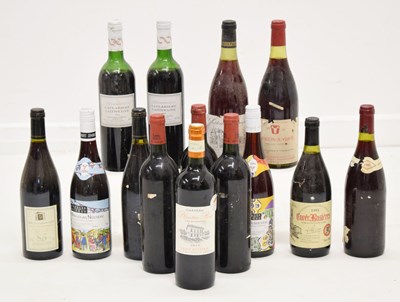 Lot 463 - Fourteen bottles of French red table wine