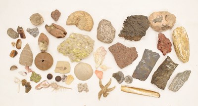 Lot 320 - Quantity of fossils, specimens, etc