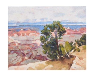 Lot 642 - Peter Swan RWA - Oil on canvas - 'Grand Canyon U.S.A.'