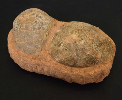 Lot 217 - Two fossilised dinosaur eggs, possibly Hadrosaur eggs, from the Cretaceous period