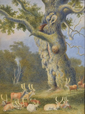 Lot 339 - Attributed to Robert Hills (1769-1844) - Watercolour - Herd of Deer beside a tree