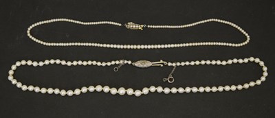 Lot 144 - Graduated seed pearl necklace