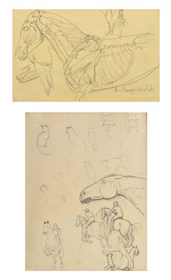 Lot 340 - Lucy Kemp-Welch (British, 1869-1958) - Pencil study - 'Study'