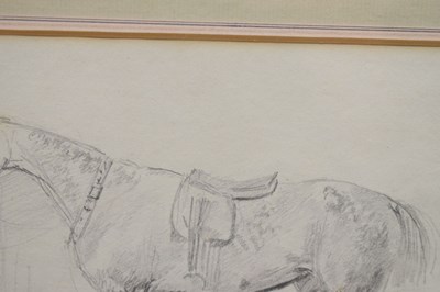 Lot 335 - Attributed to Sawrey Gilpin RA (1733-1807) - Pencil study - 'A saddled hunter [horse]'