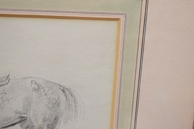 Lot 335 - Attributed to Sawrey Gilpin RA (1733-1807) - Pencil study - 'A saddled hunter [horse]'