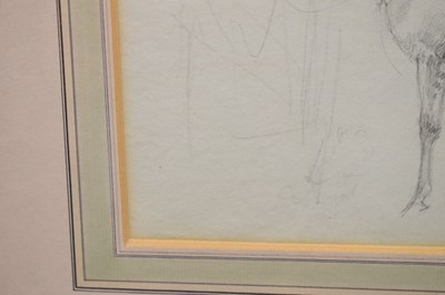 Lot 335 - Attributed to Sawrey Gilpin RA (1733-1807) - Pencil study - 'A saddled hunter [horse]'