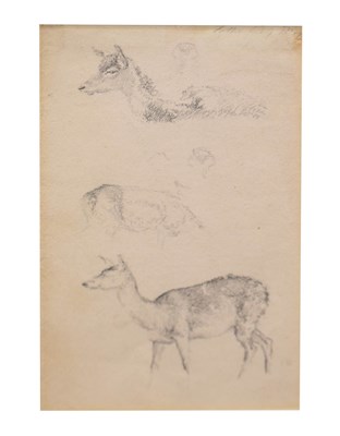 Lot 534 - Robert Hills (1769-1844) - Pencil - Studies of deer, Ex Abbott & Holder