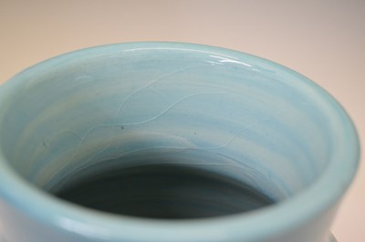 Lot 484 - Dennis China Works Sally Tuffin design vase