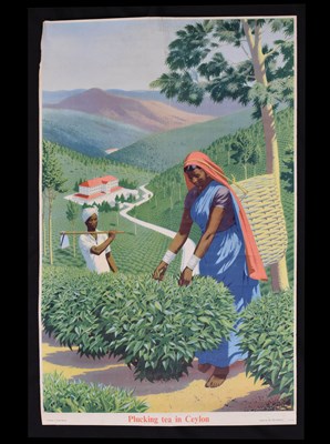 Lot 260 - Circa 1950s Ceylon Tea poster, 'Plucking tea in Ceylon'