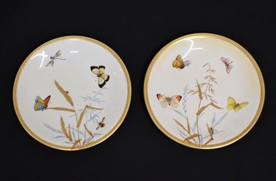 Lot 496 - Pair of late 19th century Goode & Co Worcester dessert plates