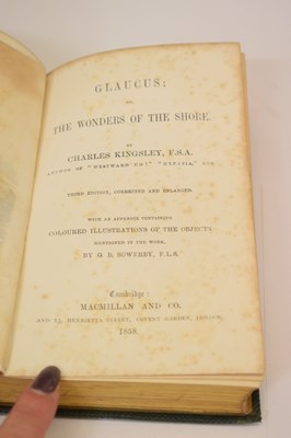 Lot 369 - Charles Kingsley, F.S.A. - 'Glaucus: or The Wonders of the Shore' - 1858