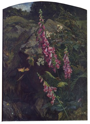 Lot 323 - Martha Darley Mutrie, (1824-1885) - Oil - Foxgloves and ferns in a landscape