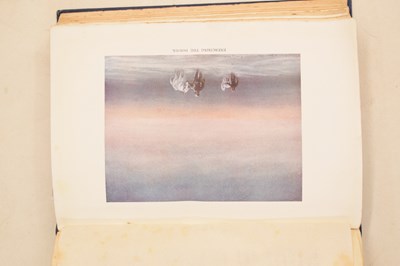 Lot 404 - Polar Exploration - 'Scott's Last Expedition' first edition, etc