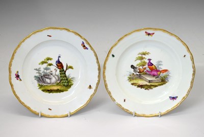 Lot Pair of Meissen ornithological plates