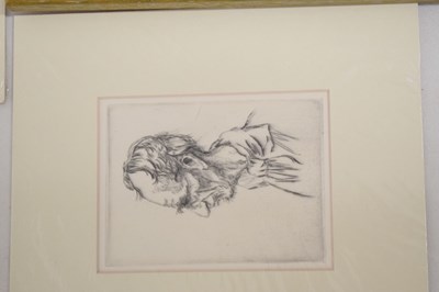 Lot 583 - David Goddard - Signed limited edition wood engraving - The County Stile