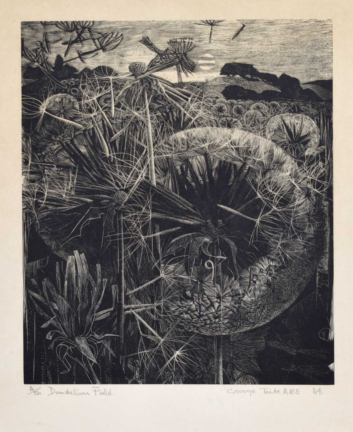 Lot 296 - George Tute RE (b.1933) - Signed limited edition wood engraving, 'Dandelion Field'